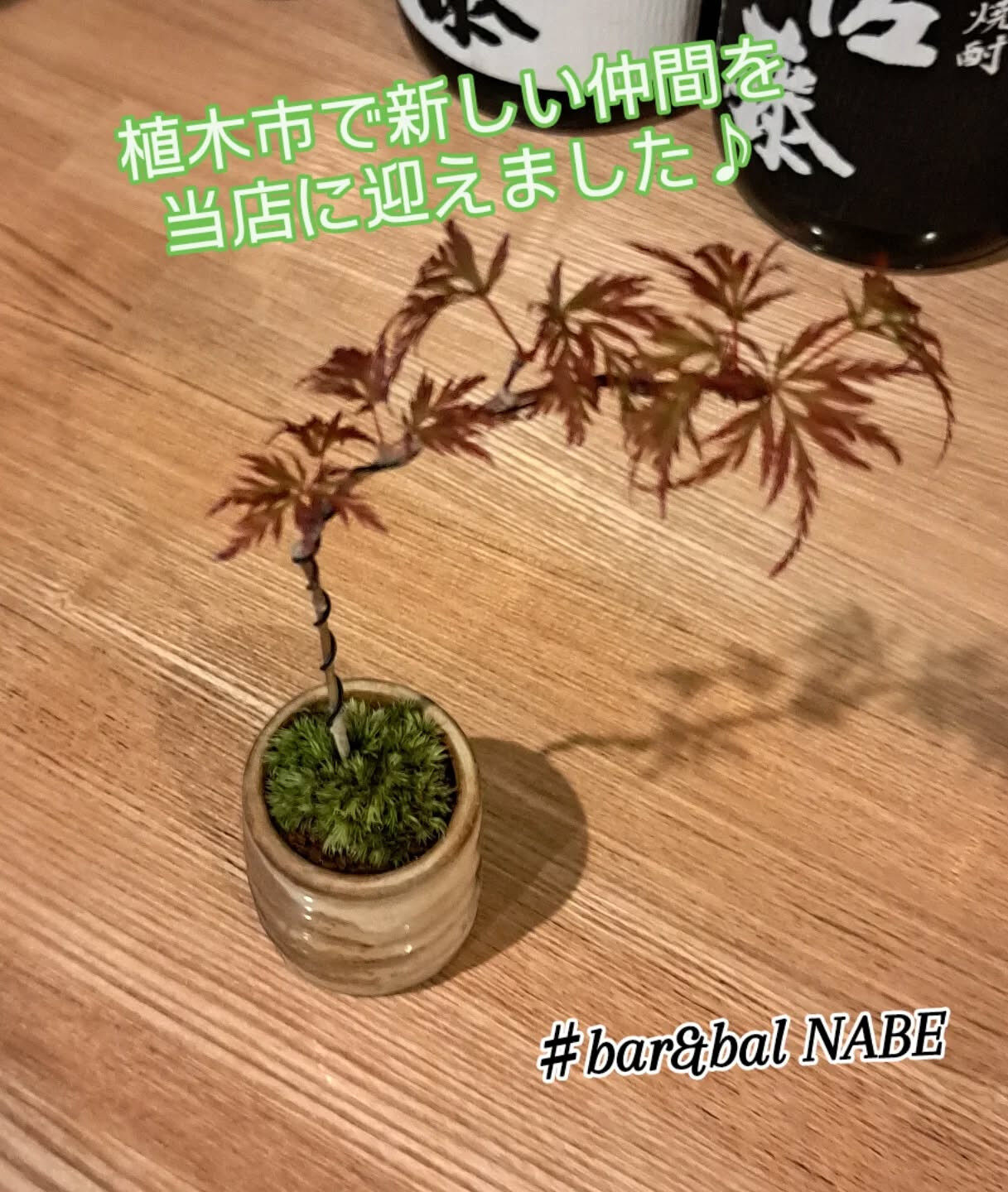 こんばんは！