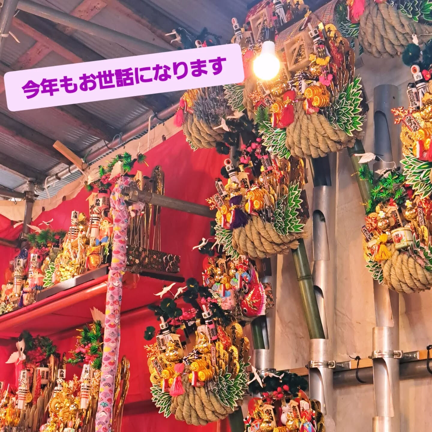 こんばんは